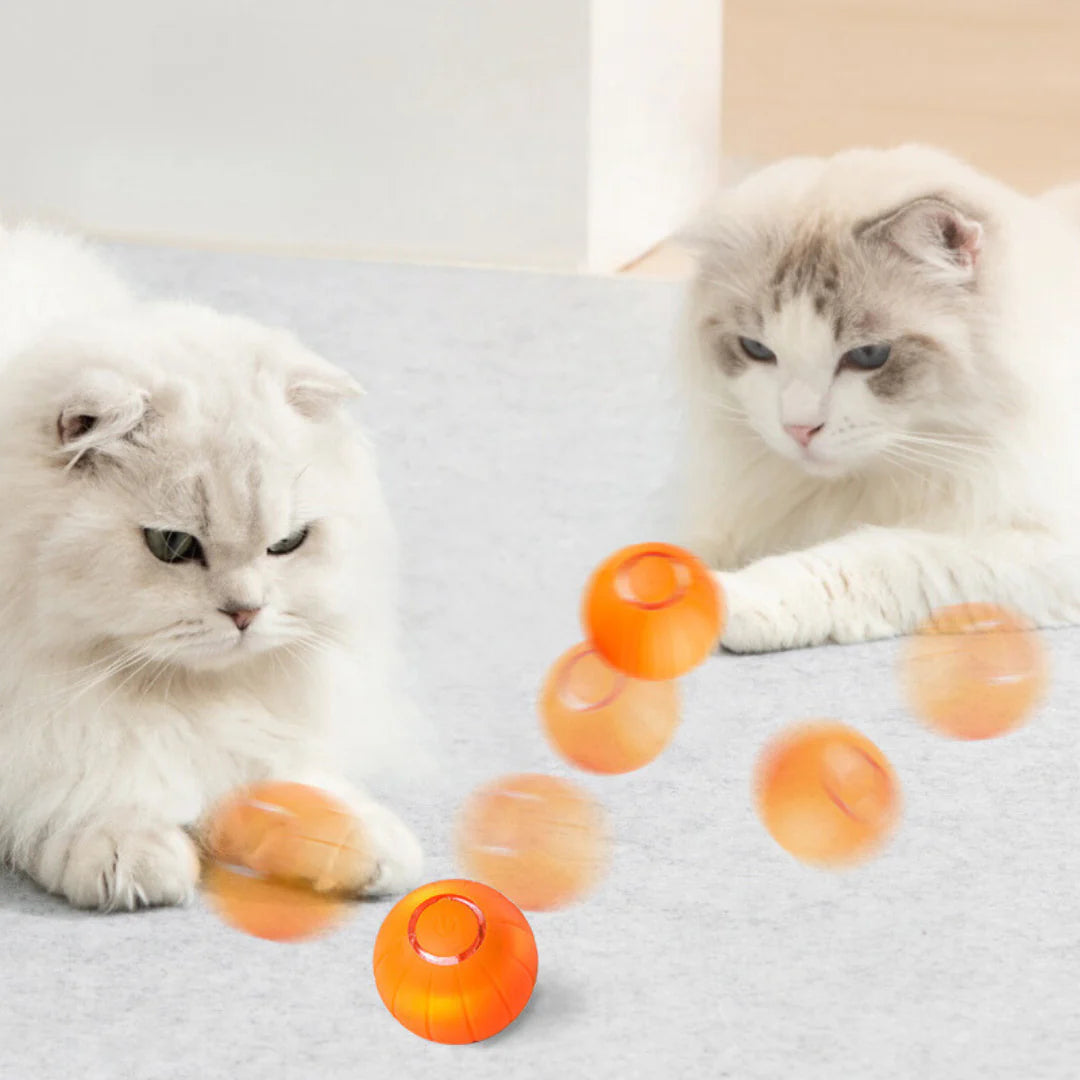 The Smart Ball