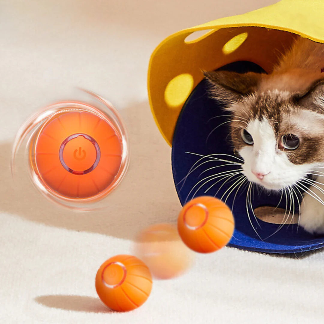 The Smart Ball