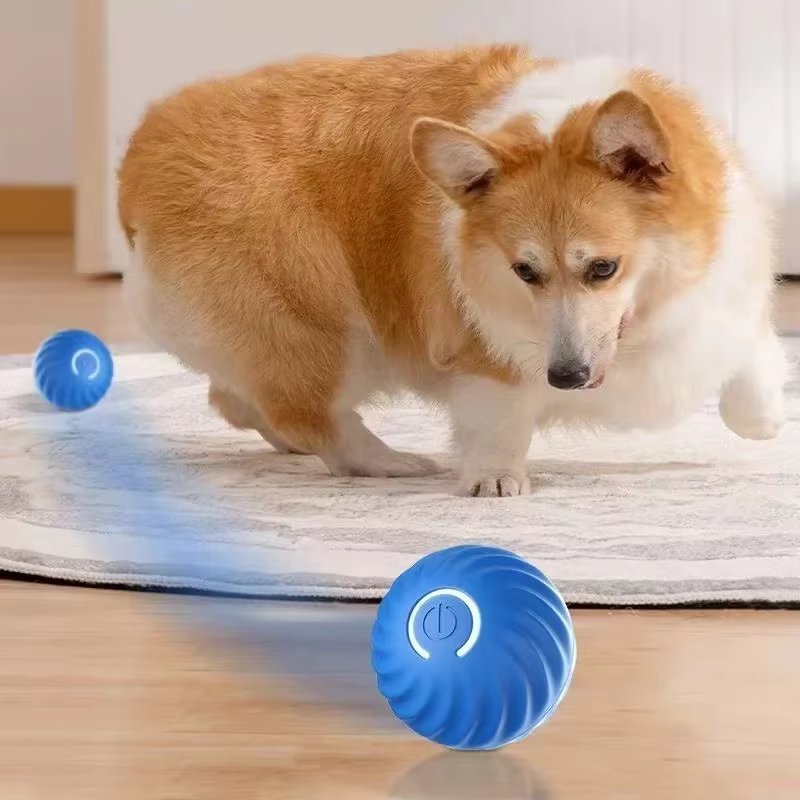The Smart Ball