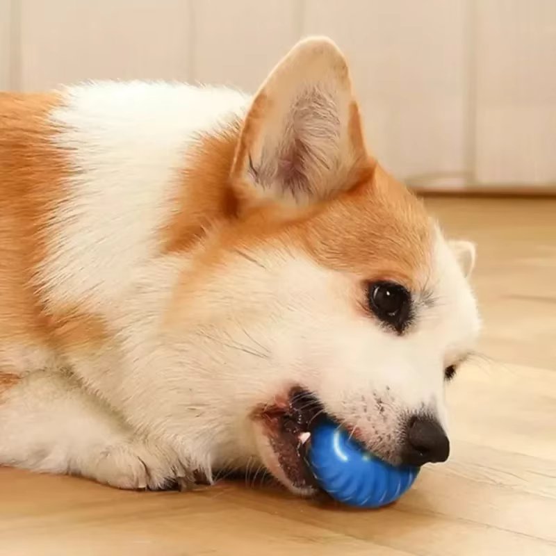 The Smart Ball