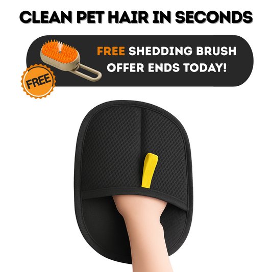 The Sheddy™